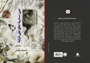 ahmed amer