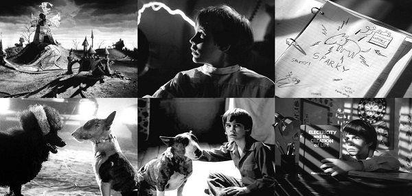 فرانكنوينى