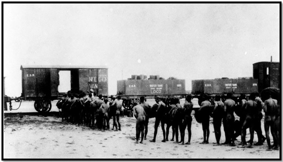 الأنفار يقفون عراة أمام القطار في انتظار تطهير ملابسهم بالبخار من يرقات الملاريا بعد عمليات التنظيف (1917)