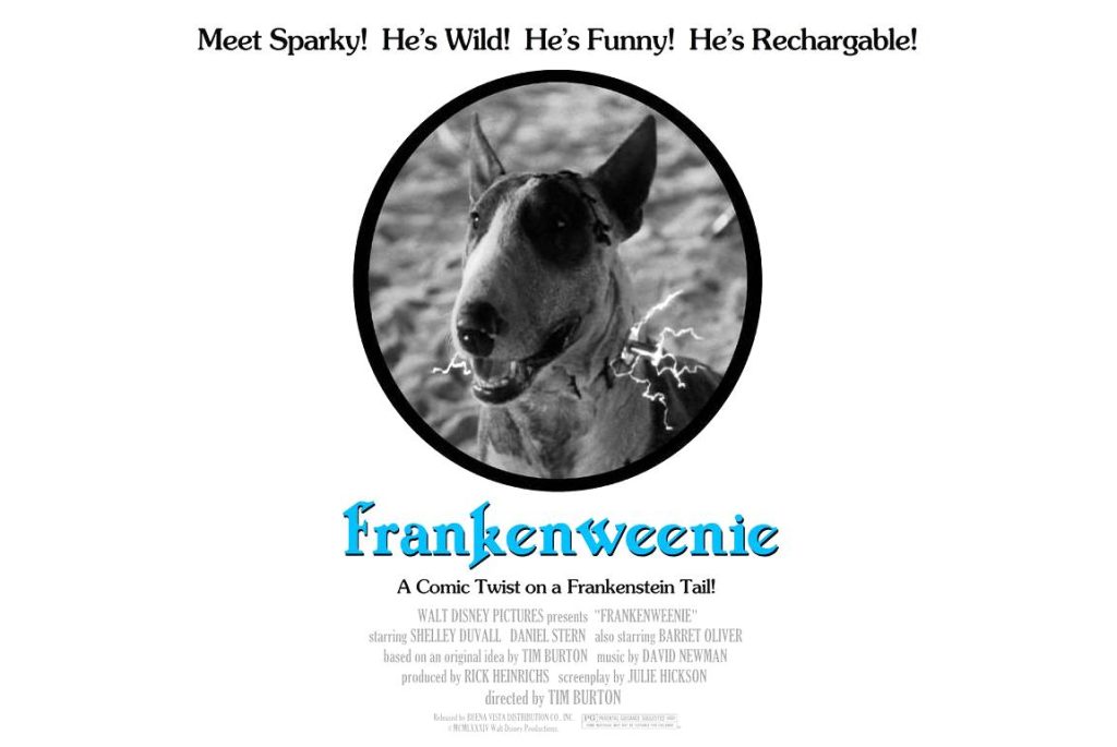 فرانكنوينى