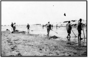 الأنفار أثناء عمليات مكافحة الملاريا في المستنقعات والبرك (1917)