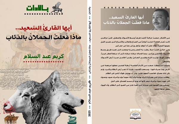 kareem abd alsalam 3