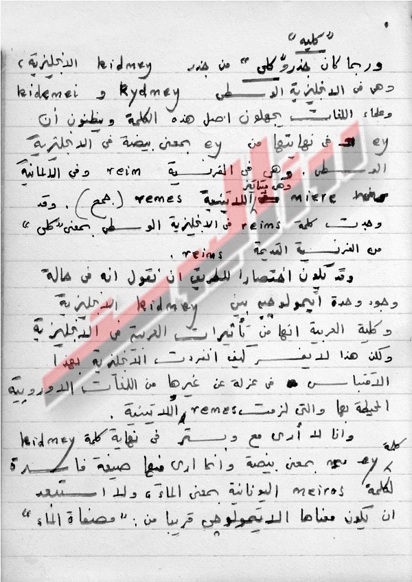 موقع الكتابة الثقافي uncategorized 10