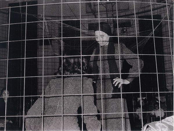 موقع الكتابة الثقافي uncategorized 539