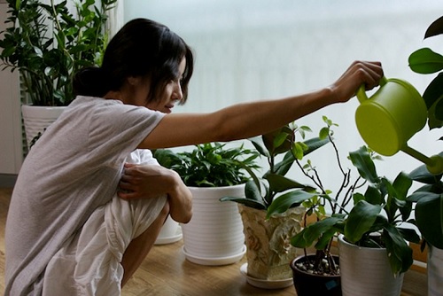 موقع الكتابة الثقافي uncategorized 62